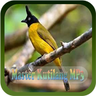 آیکون‌ Master Burung Kutilang MP3