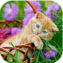 Cats Tile Puzzle APK