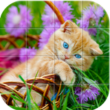 Cats Tile Puzzle ikon