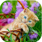 Cats Tile Puzzle أيقونة