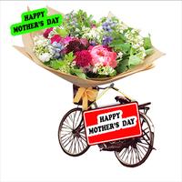 Mother's Day Flower Cards HD Affiche