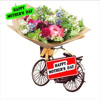 Mother's Day Flower Cards HD الملصق