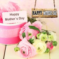 Mother's Day Flower Cards HD تصوير الشاشة 2