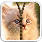 Cute Kitty Zipper Lock Screen icono