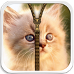 Cute Kitty Zipper Lock Screen
