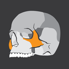 Skull Osteology आइकन