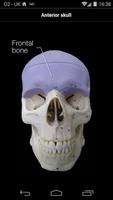 Skull Osteology स्क्रीनशॉट 1
