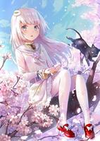 Anime Kawaii 2018 海報