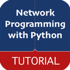 Network Programming with Python Tutorial-icoon