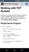 Network Programming with Python Tutorial تصوير الشاشة 1