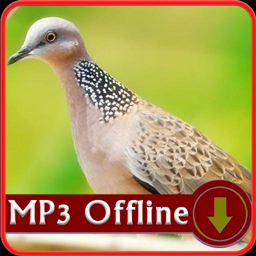 Terkukur Walpeper : Suara Burung Tekukur Pikat 1 0 Apk Androidappsapk Co : Download animated ...