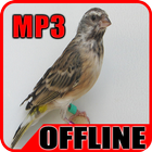 Suara Burung Blackthroat Gacor - Offline icône