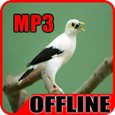 Suara Burung Jalak Putih Gacor Offline APK