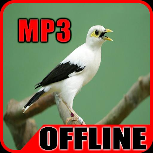Download Lagu Jalak Putih Mp3 Download Lagu Jalak Putih Mp3