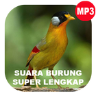 100+ Suara Burung Kicau アイコン