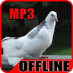 Suara Burung Merpati Offline