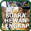 Suara Hewan Lengkap