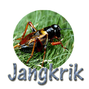 MP3 SUARA JANGKRIK APK