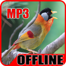 Suara Burung Panca Warna Offline APK