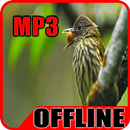 Suara Burung Siri Siri Offline-APK