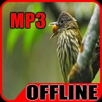 Suara Burung Siri Siri Offline-poster