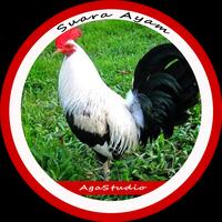 Suara Ayam Affiche