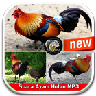 Suara Ayam Hutan MP3 ícone