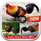 آیکون‌ Chicken Sound mp3