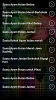 Suara Ayam Hutan MP3 imagem de tela 1