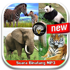 Suara Binatang Mp3 biểu tượng