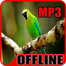 Suara Burung Cucak Rante Offline 2018-APK
