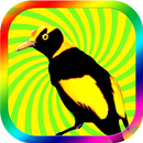 Kicau Burung Kepodang APK