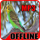 Kompilasi Suara Burung Parkit Gacor Offline icône