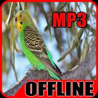 Kompilasi Suara Burung Parkit Gacor Offline capture d'écran 3