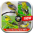 Sound Of Bird Cipoh Mp3 ไอคอน