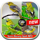 Sound Of Bird Cipoh Mp3 APK