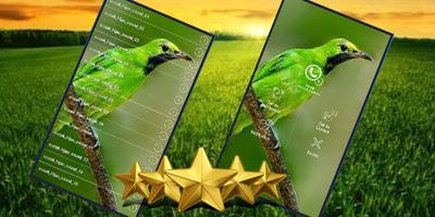 Suara Burung Cucak ijo : Masteran Cucak ijo screenshot 1