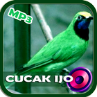 鸟Cucak的声音Ijo离线 图标