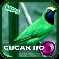 鸟Cucak的声音Ijo离线 截图 3