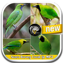 Sound Of Bird Cucak Ijo Mp3 APK