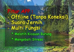 Suara Burung Beo poster