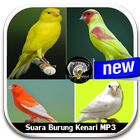 Suara Burung Kenari MP3 ícone