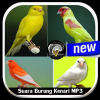 Suara Burung Kenari MP3 截图 3