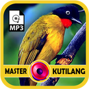 Suara Burung Kutilang Master APK