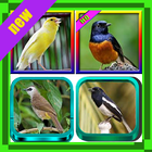 ikon 101+ Suara Burung Indah