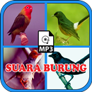 完整的鸟声MP3 APK