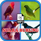 Complete Bird Sound MP3 icône