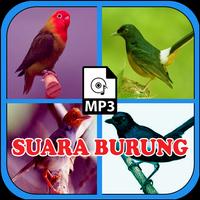 Complete Bird Sound MP3 capture d'écran 3