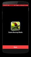 Suara Burung Madu poster