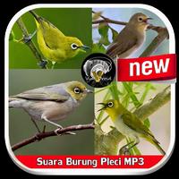 Suara Burung Pleci MP3 imagem de tela 3